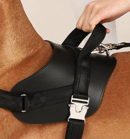 Hozi - Saddle Harness - Black