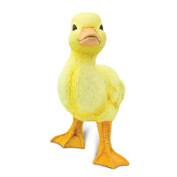 Duckling