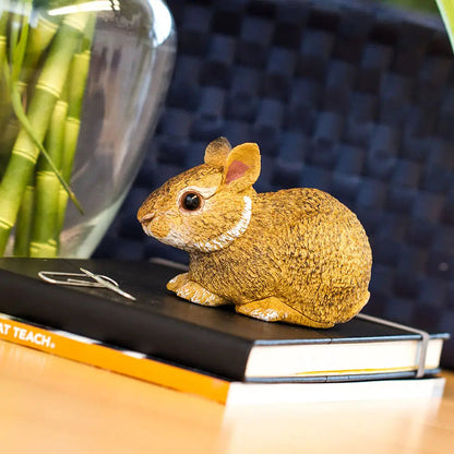 Eastern Cottontail Baby Rabbit