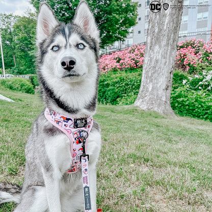 Dog Adjustable Harness - Harley Quinn™
