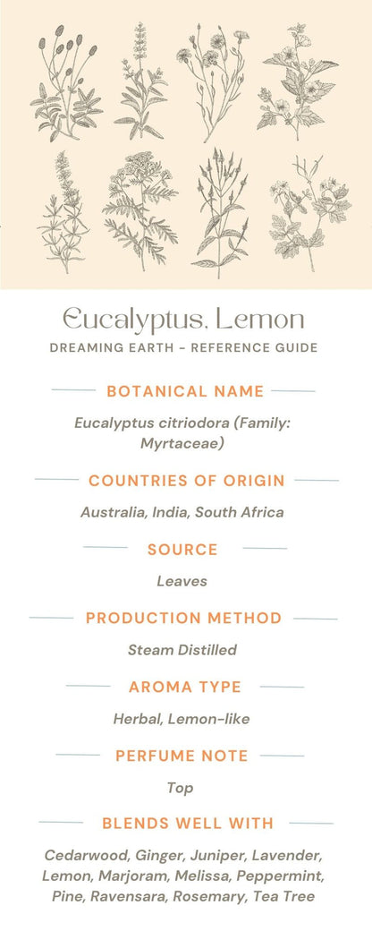 Eucalyptus Citriodora Essential Oil