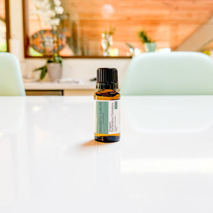 Eucalyptus Citriodora Organic Essential Oil