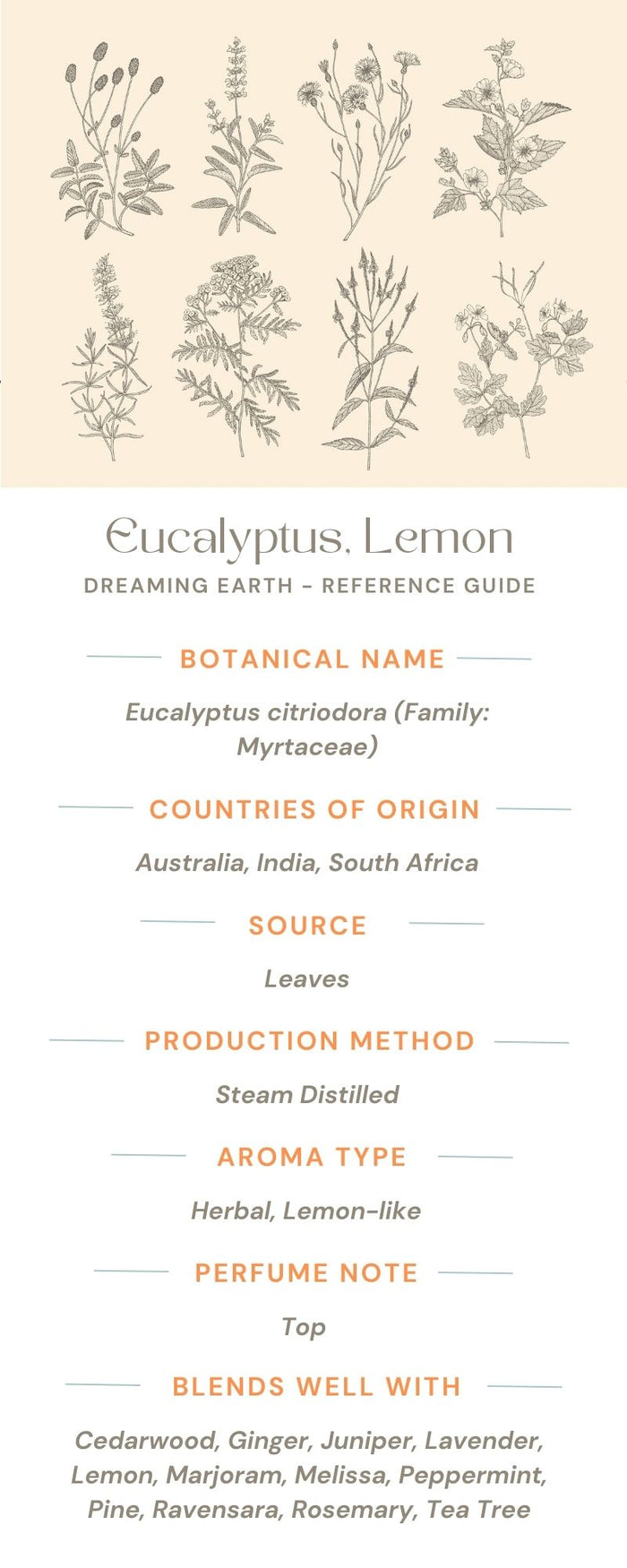 Eucalyptus Citriodora Organic Essential Oil