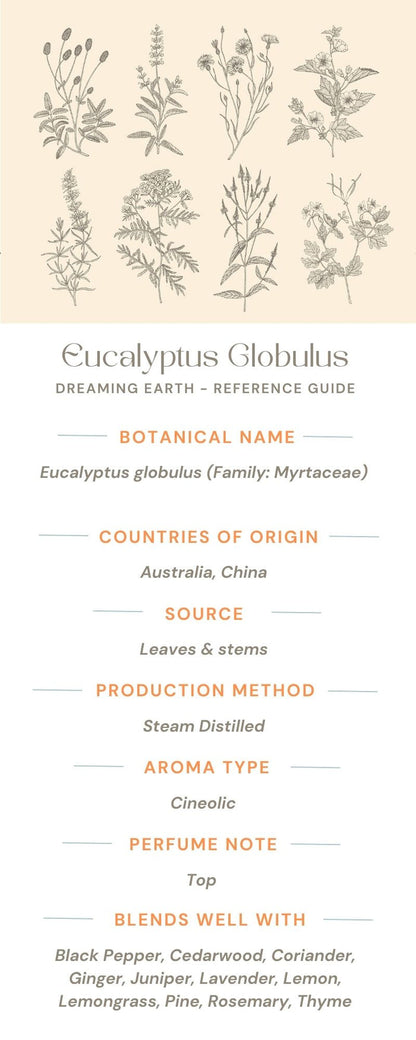 Eucalyptus Globulus Essential Oil - Dreaming Earth Inc