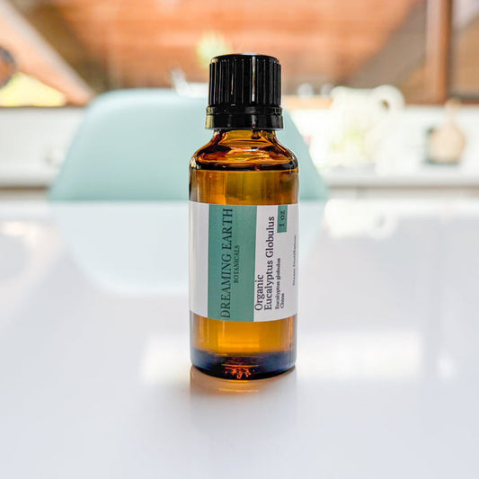 Eucalyptus Globulus Organic Essential Oil
