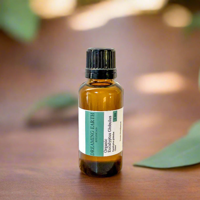 Eucalyptus Globulus Organic Essential Oil