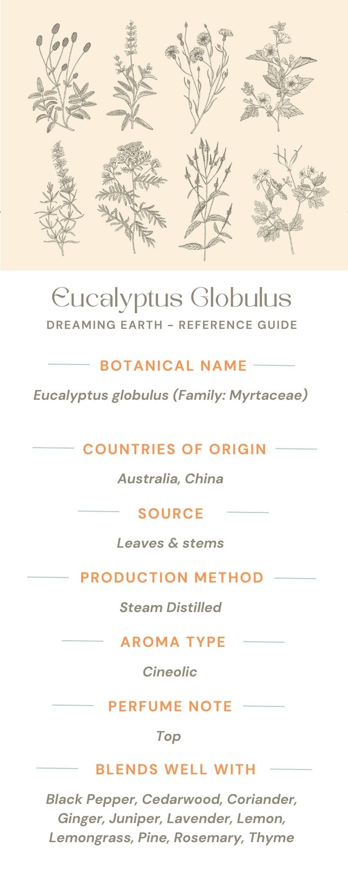 Eucalyptus Globulus Organic Essential Oil - Dreaming Earth Inc