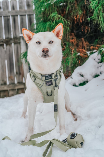 Dog Leash - Matcha