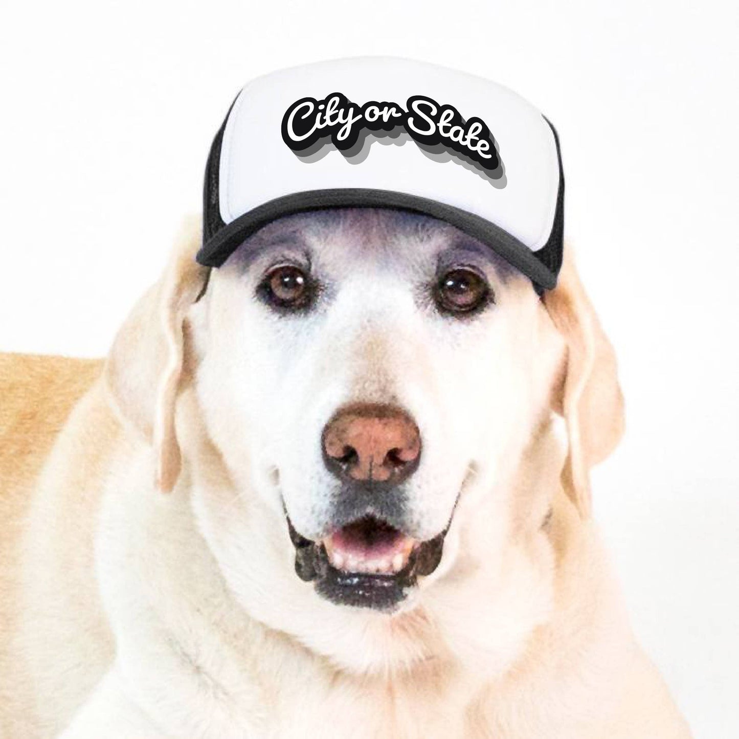 PupLid - Custom Retro Text | Trucker Hat for Dogs