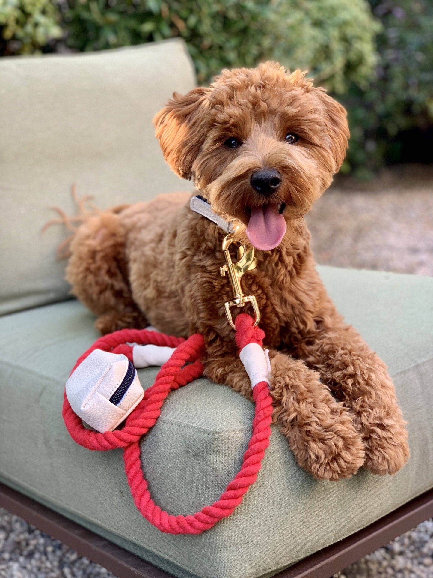 PoisePup - LEASH - HOT MARINE