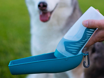 Messy Mutts Travel Water Bottle with Removable Bowl, 16oz
