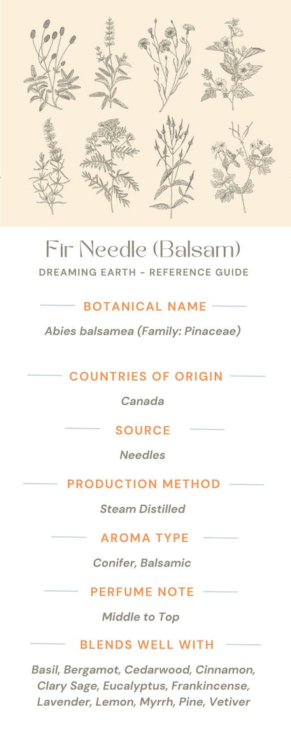 Fir Needle Essential Oil