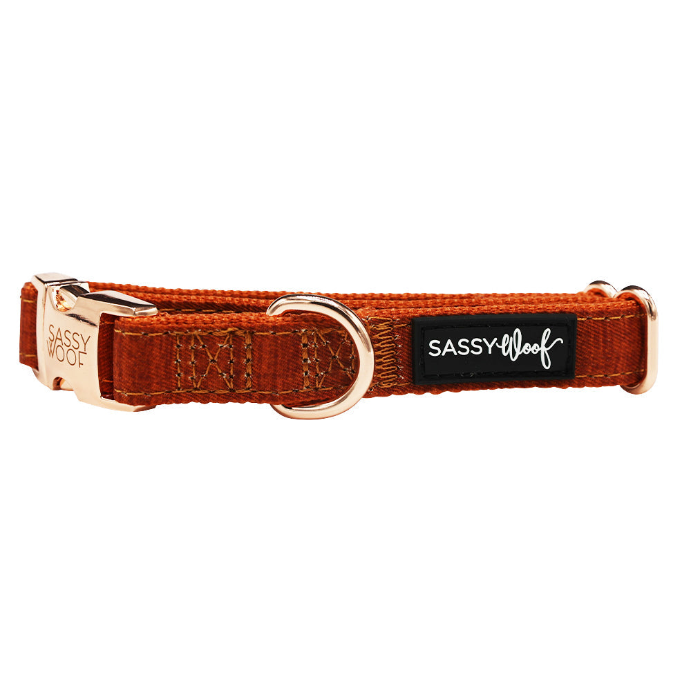Dog Collar Three Piece Bundle - Foxy