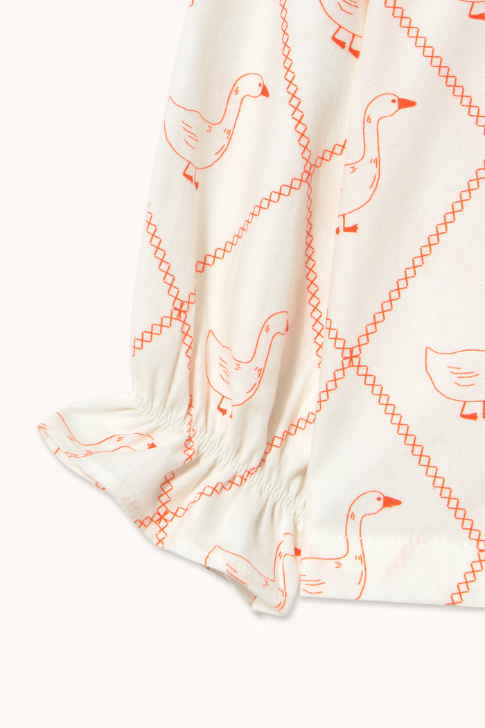Geese Set in Off-White