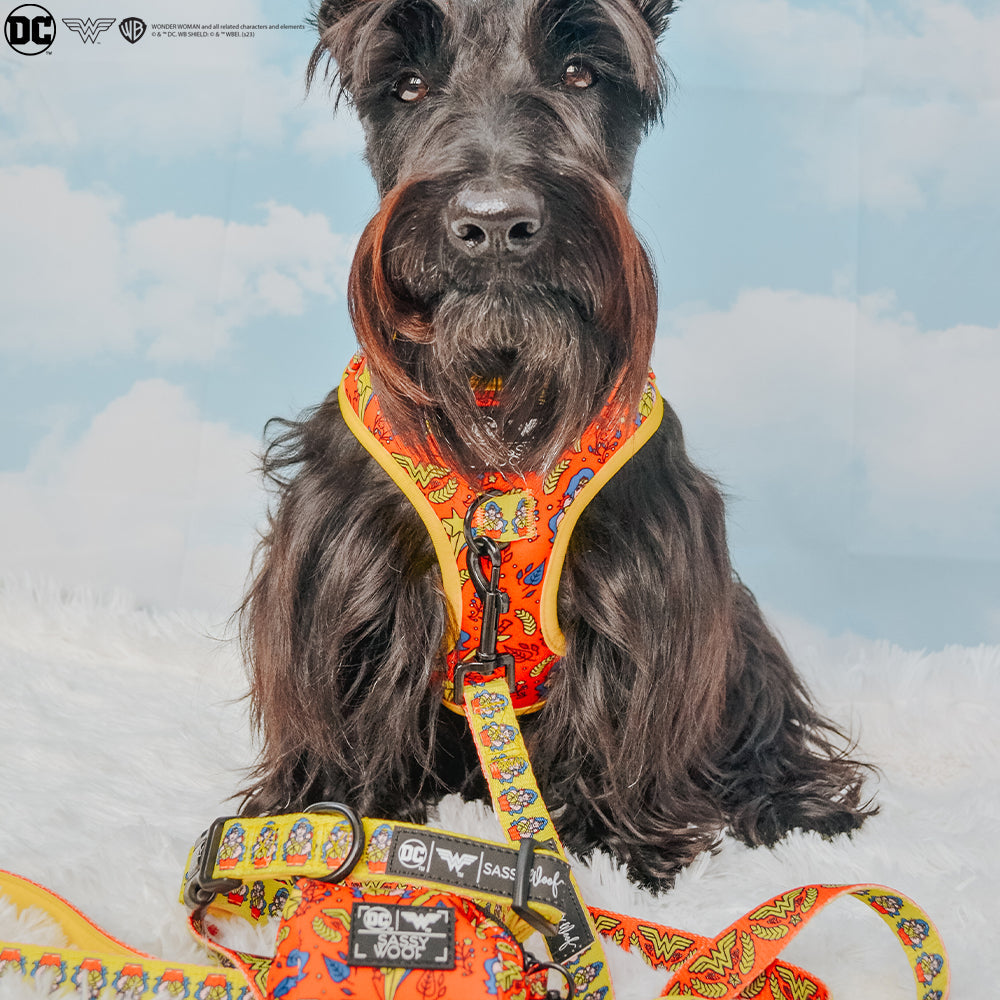Dog Four Piece Bundle - Wonder Woman™
