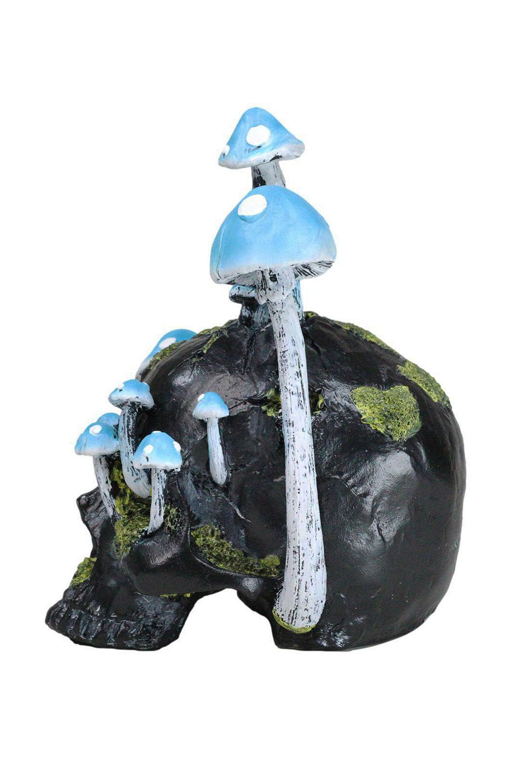 Black Skull with Mushrooms
