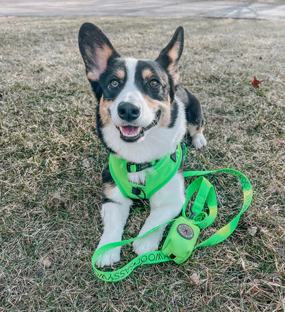 Dog Waste Bag Holder - Neon Green