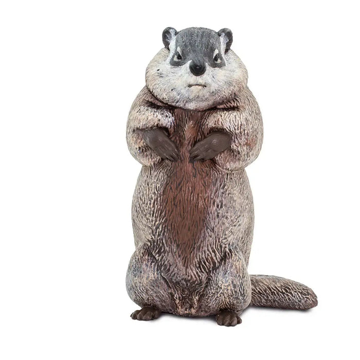 Groundhog