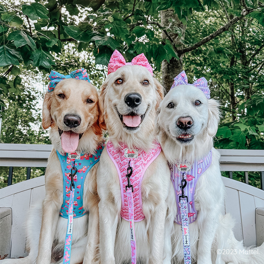 Dog Sailor Bow - BARBIE™ On a Roll
