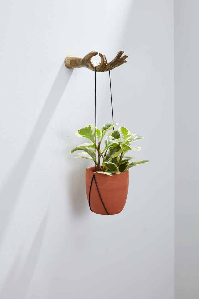 Decorative wooden wall hook shaped like a hand holding a hanging terracotta planter with green leaves.