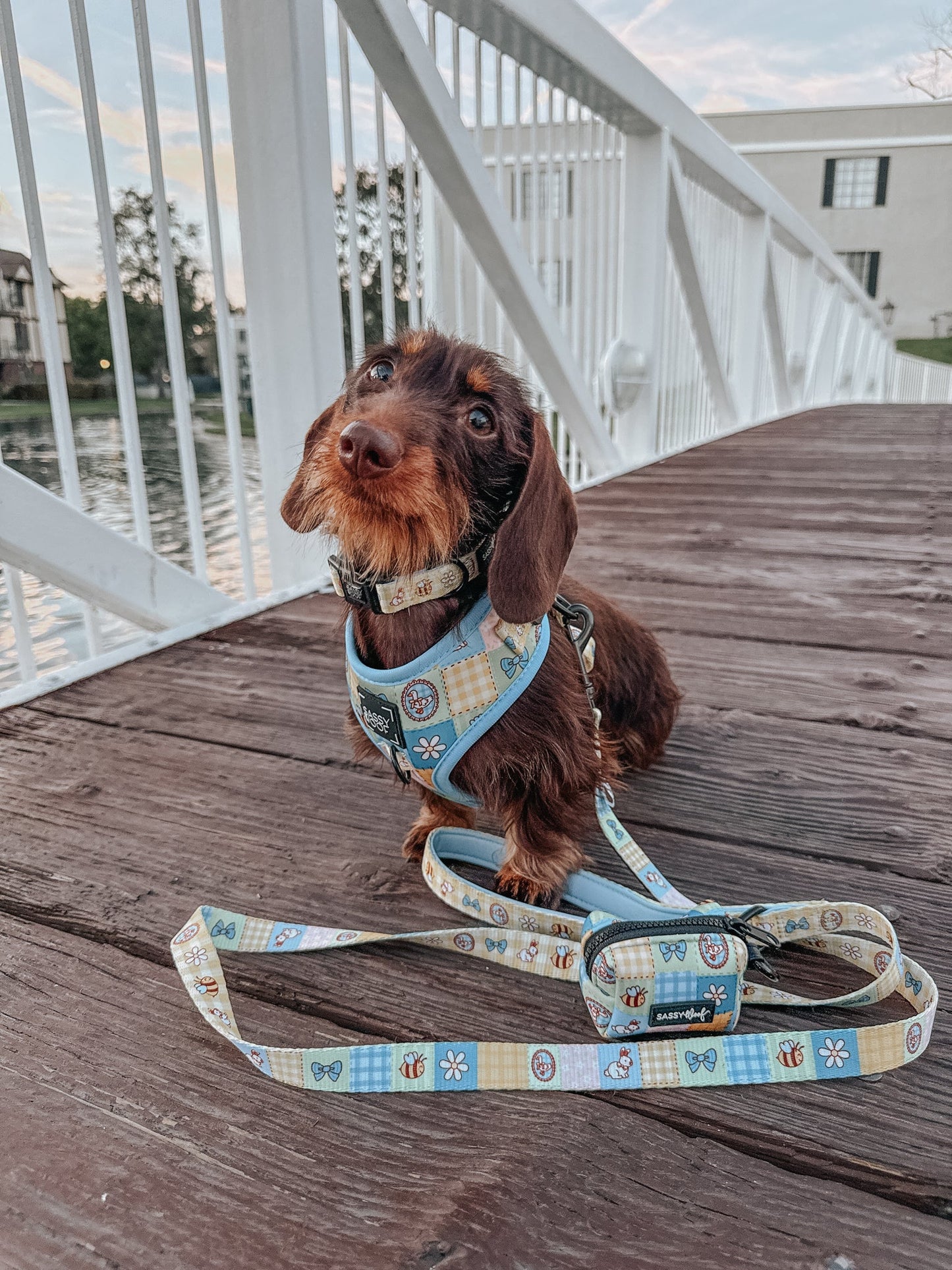 Dog Two Piece Bundle - Patch Perfect