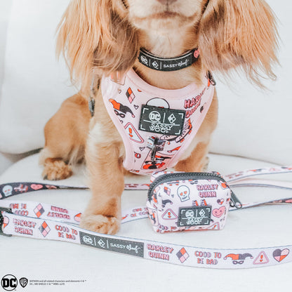 Dog Adjustable Harness - Harley Quinn™