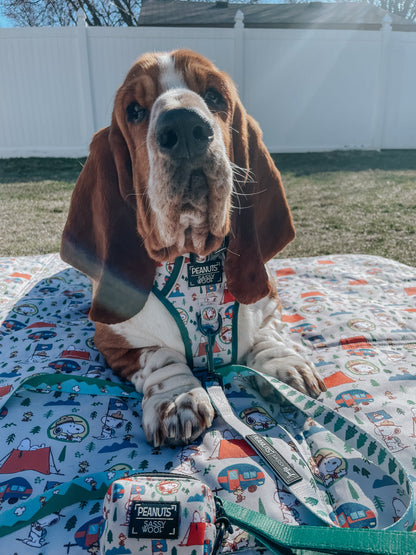 Dog Four Piece Bundle - Peanuts™ Beagle Scouts