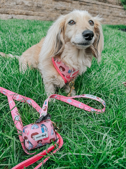 Dog Leash - STAR WARS™ Princess Leia