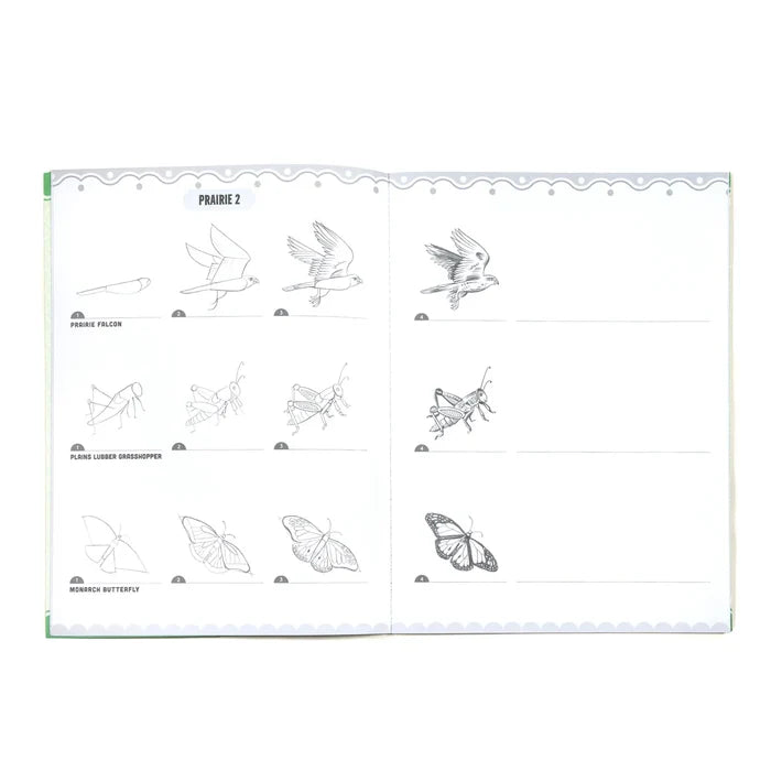 Learn To Draw - Bugs, Birds, & Butterflies