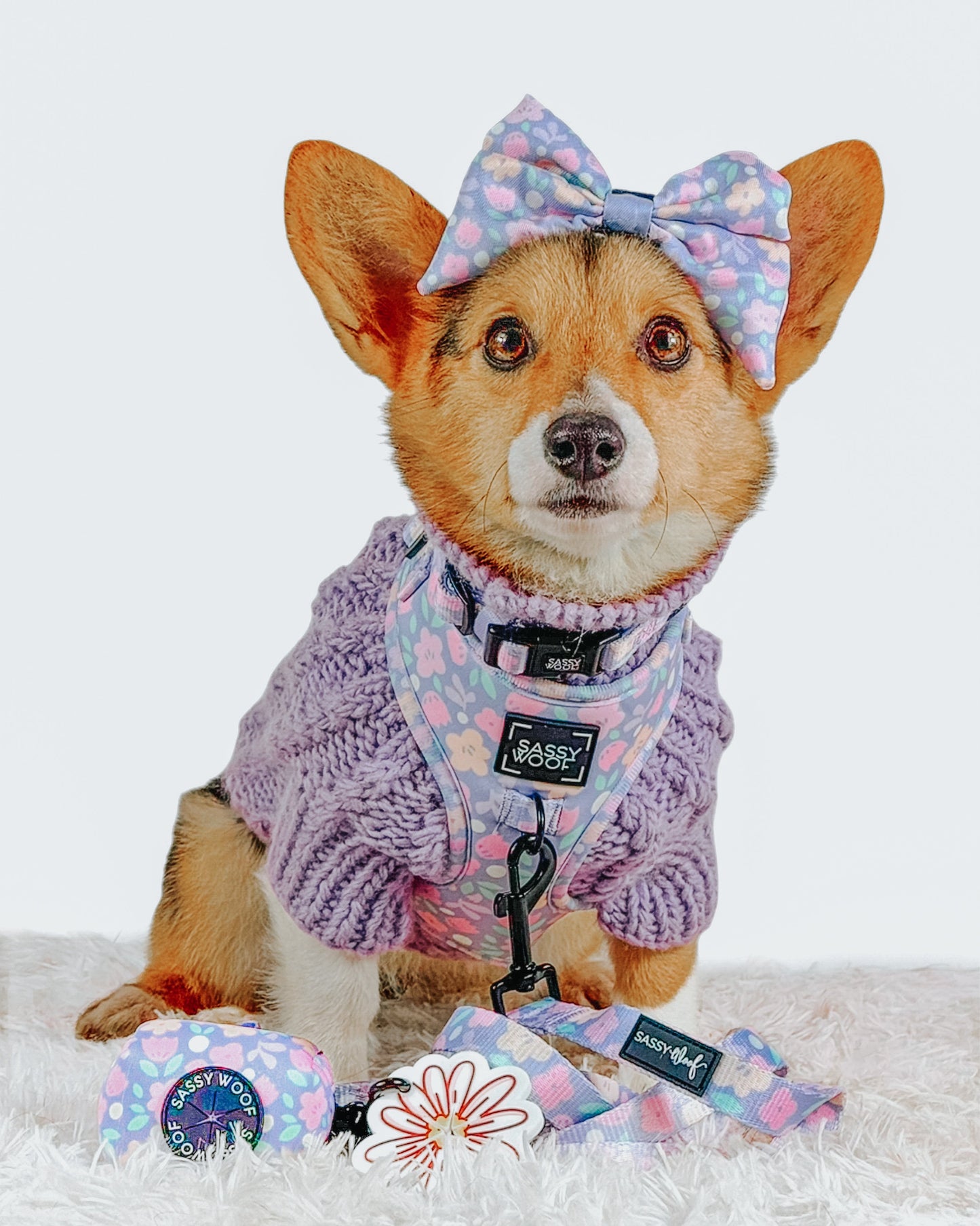 Dog Two Piece Bundle - Fleur de Sass