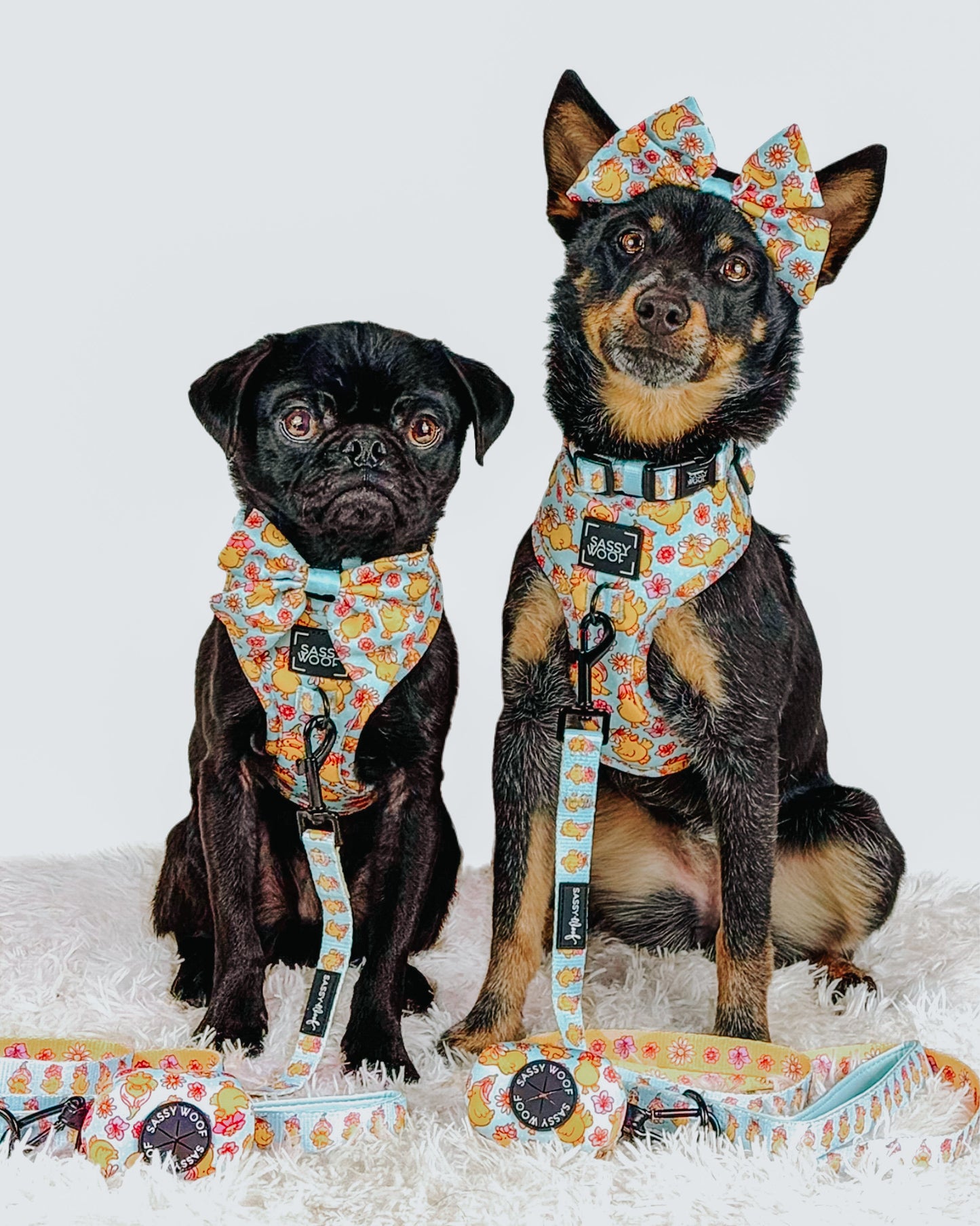 Dog Collar - Good Duck, Babe!