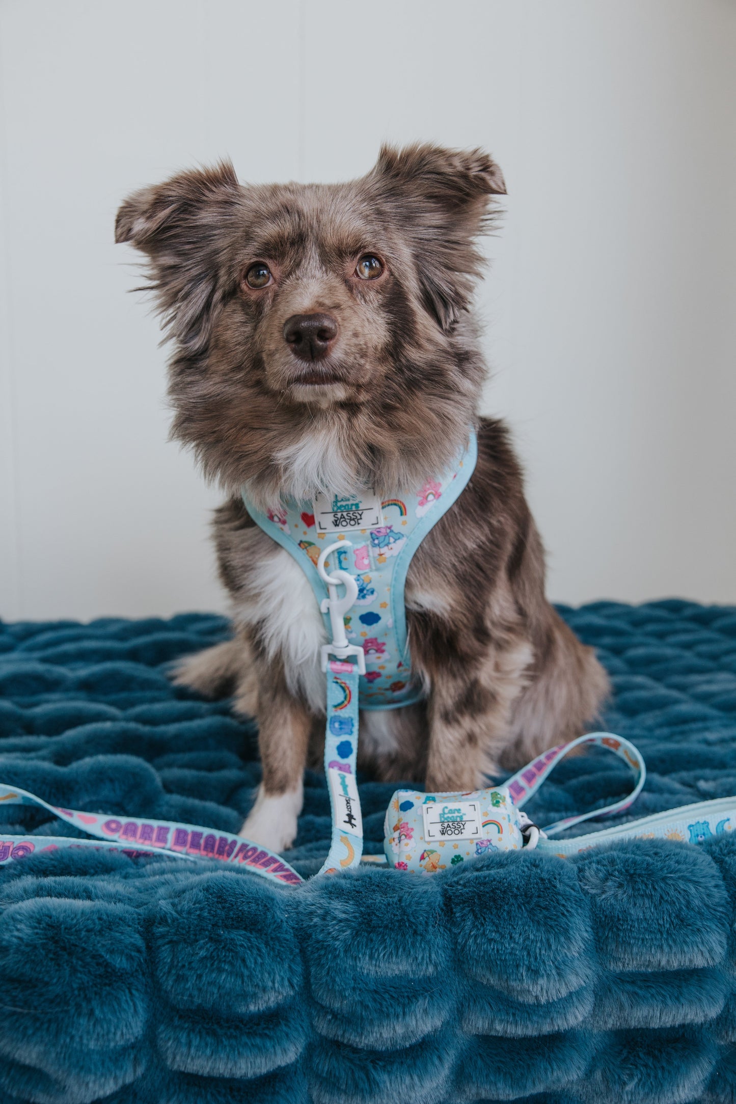 Dog Waste Bag Holder - Care Bears™ Care-a-Lot