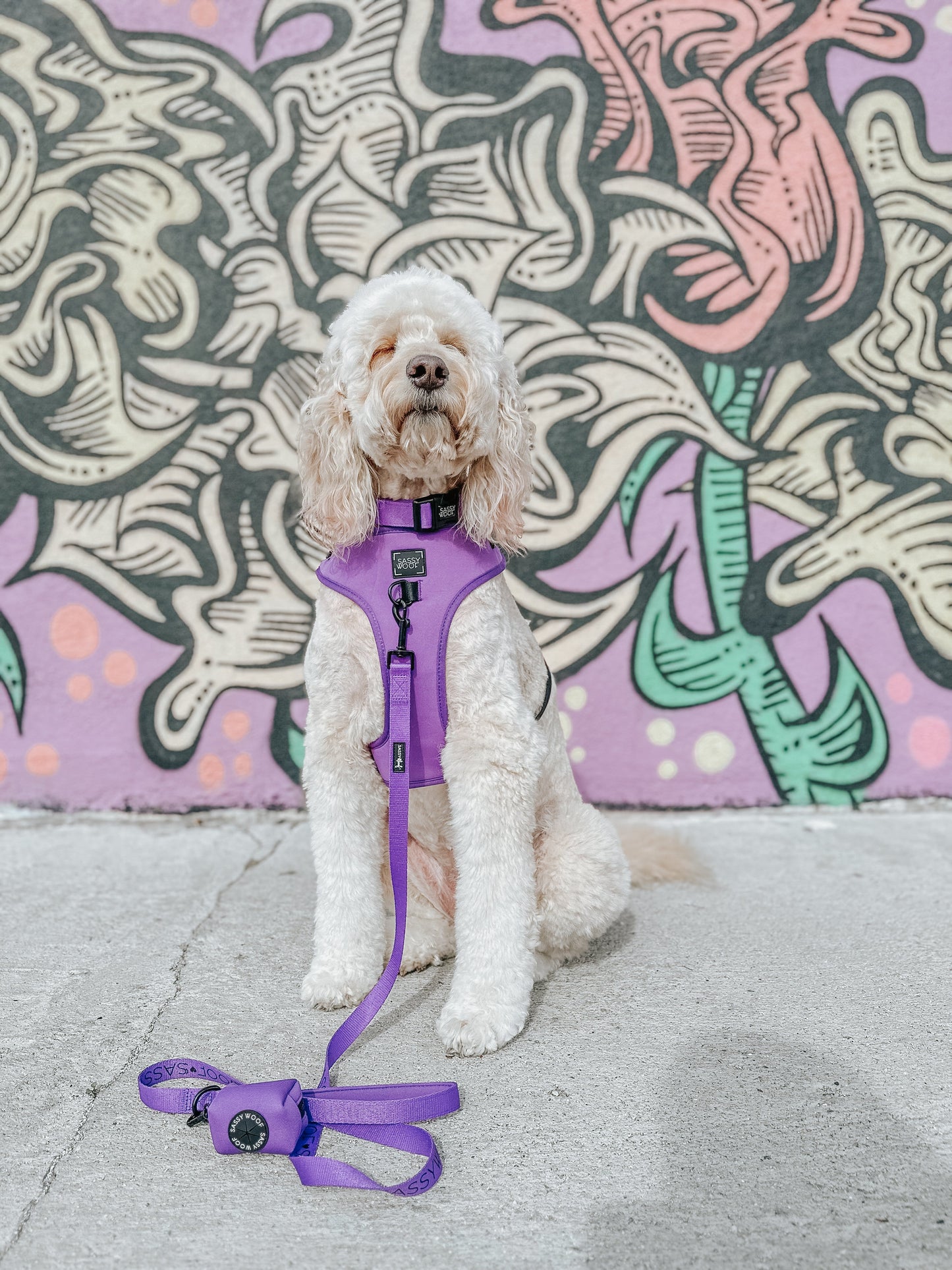 Dog Collar - Neon Purple