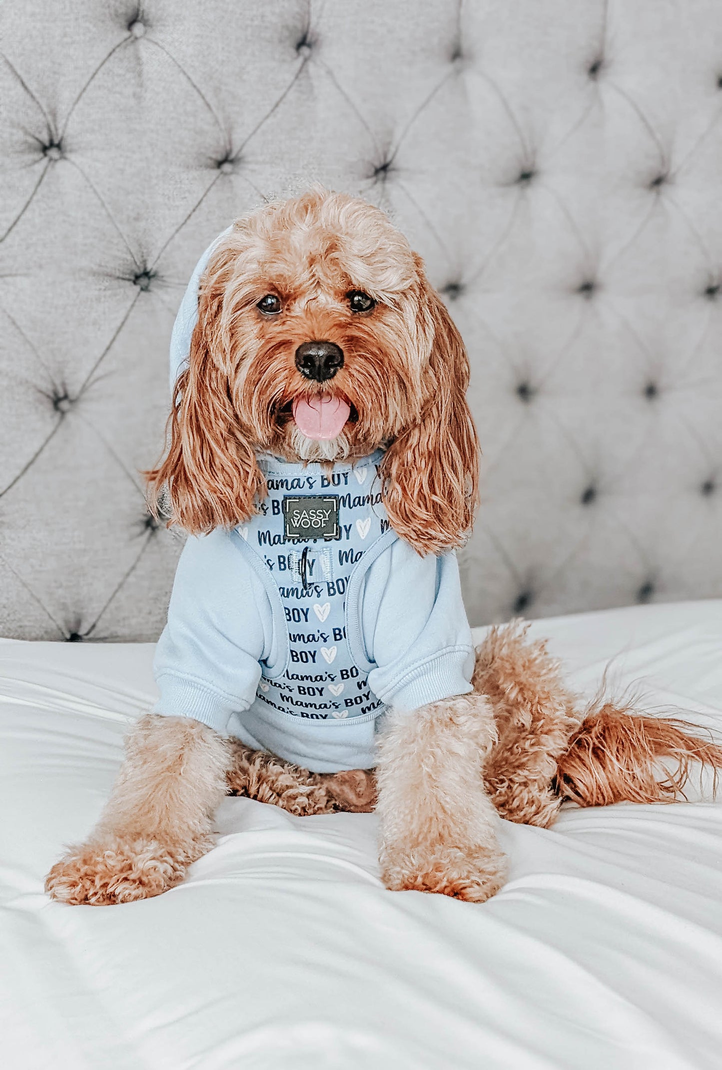 Dog Two Piece Bundle - Mama's Boy