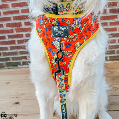 Dog Four Piece Bundle - Wonder Woman™