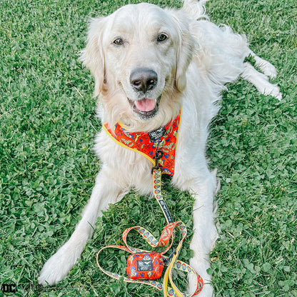 Dog Four Piece Bundle - Wonder Woman™