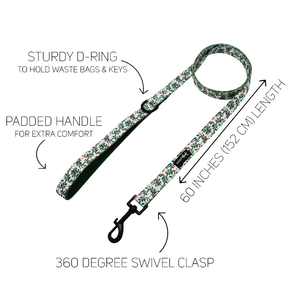 Dog Four Piece Bundle - Under the Mistletoe