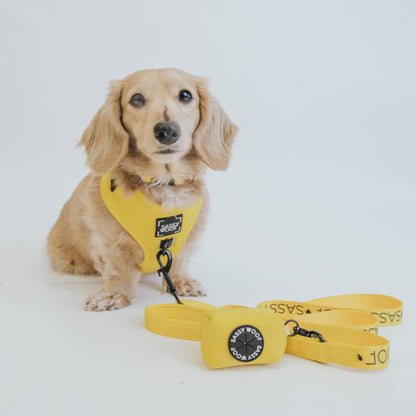 Dog Four Piece Bundle - Neon Yellow