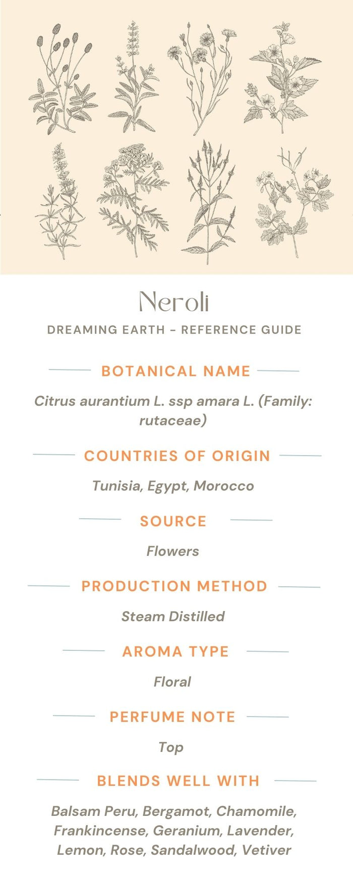 Neroli Essential Oil - Dreaming Earth Inc