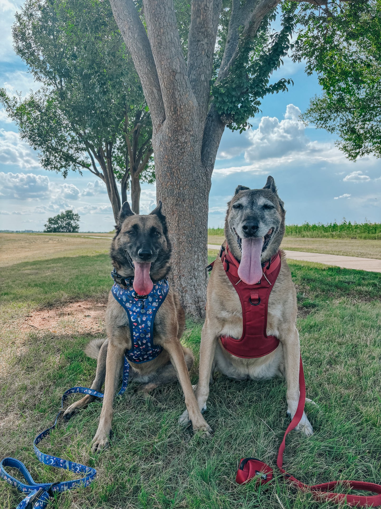 Dog Two Piece Bundle - Burgundy