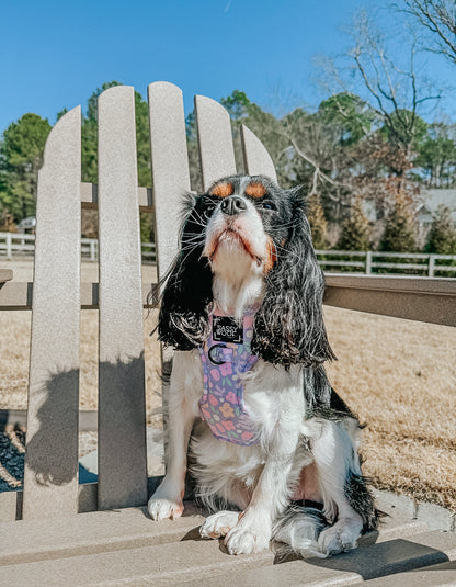 Dog Two Piece Bundle - Fleur de Sass