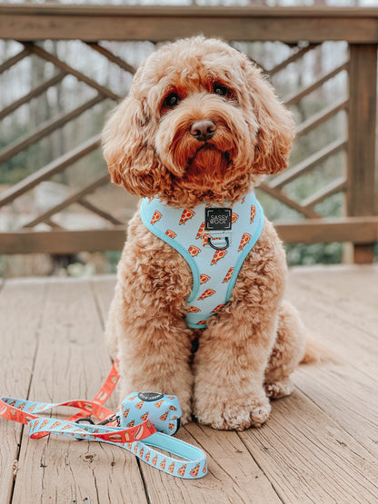 Dog Leash - One Hot Pupperoni