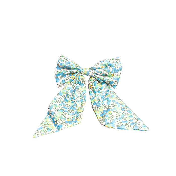 Paige Bow