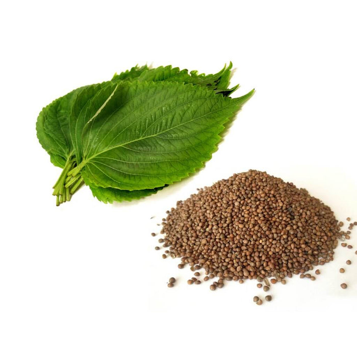 Perilla Seed Oil, Virgin Organic