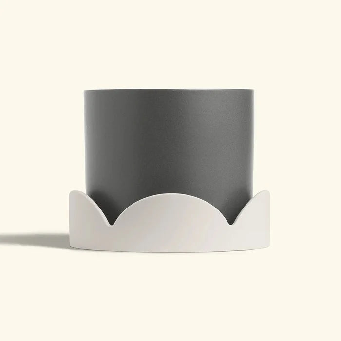 Matte grey planter set inside a beige petal-shaped drip tray on a cream background.