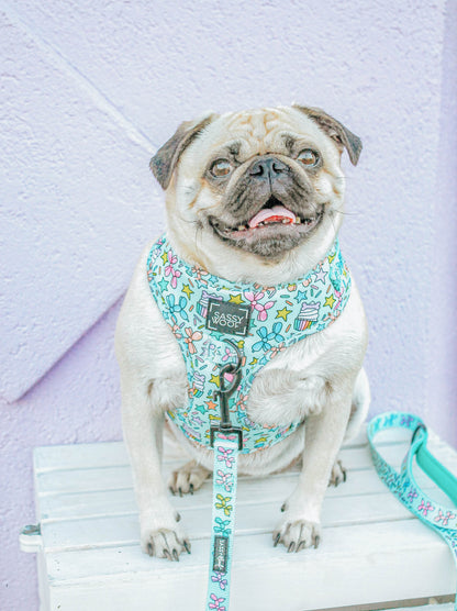 Dog Two Piece Bundle - Pup Pup Hooray