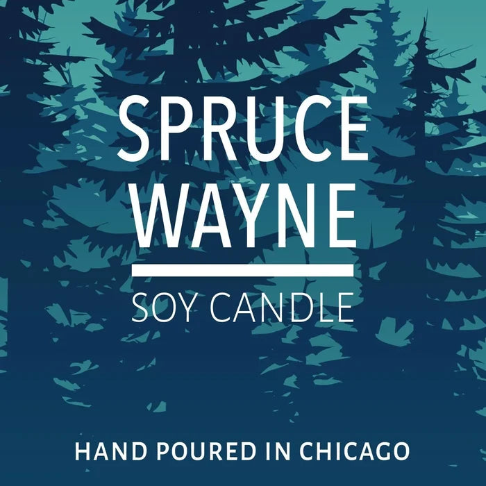 Spruce Wayne