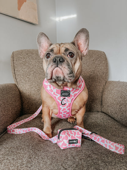 Dog Leash - Strawberry Milk