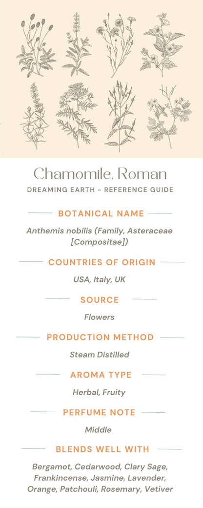 Chamomile, Roman Essential Oil - Dreaming Earth Inc