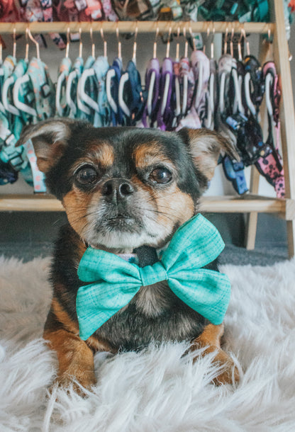 Dog Sailor Bow - Wag Your Teal